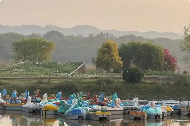 Activities Chandigarh