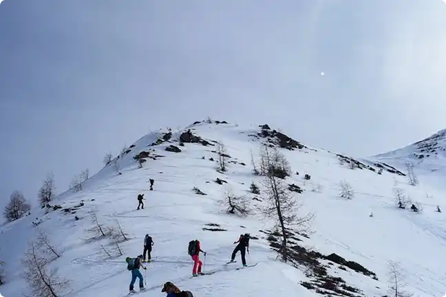 Activities Chandigarh